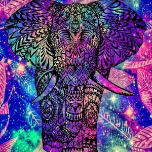 Meet your Posher, Marissa